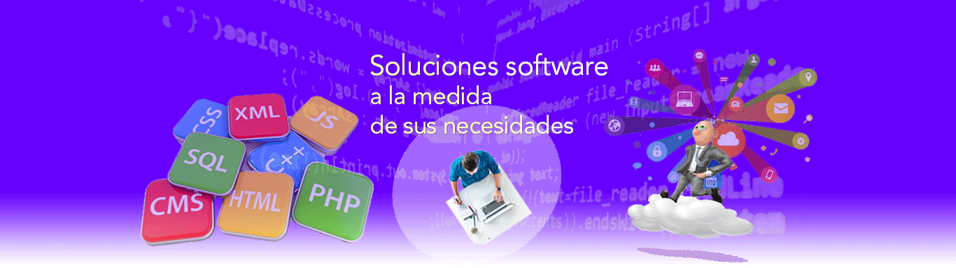 Soluciones software a la medida de sus necesidades