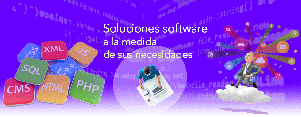 Soluciones software a la medida de sus necesidades